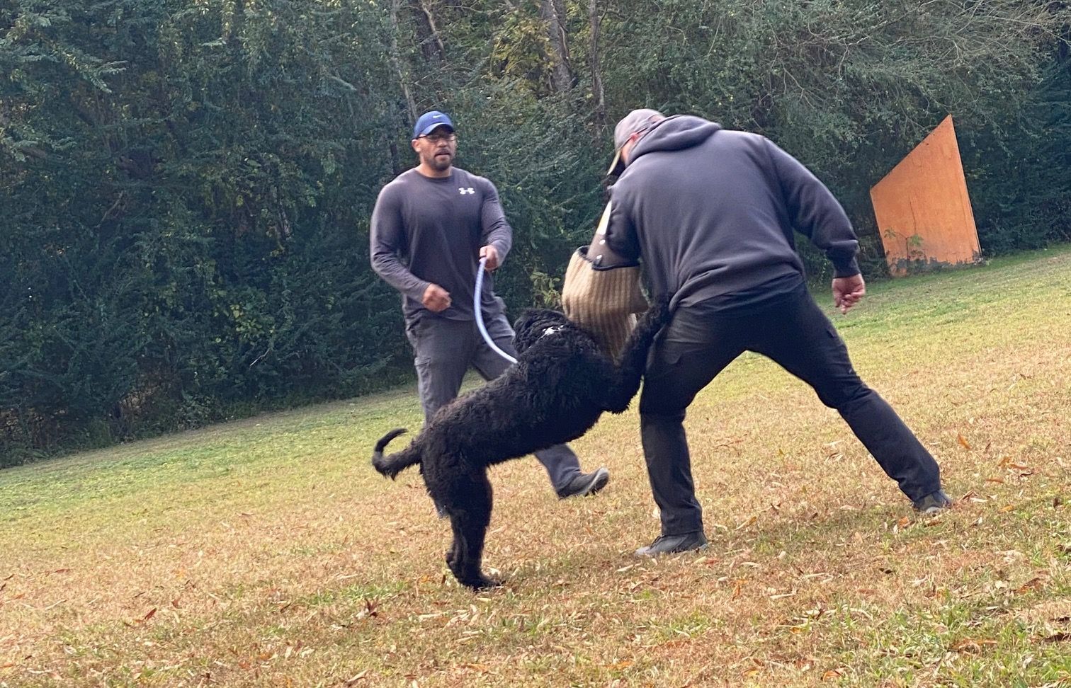Two men are playing with a dog in a field.