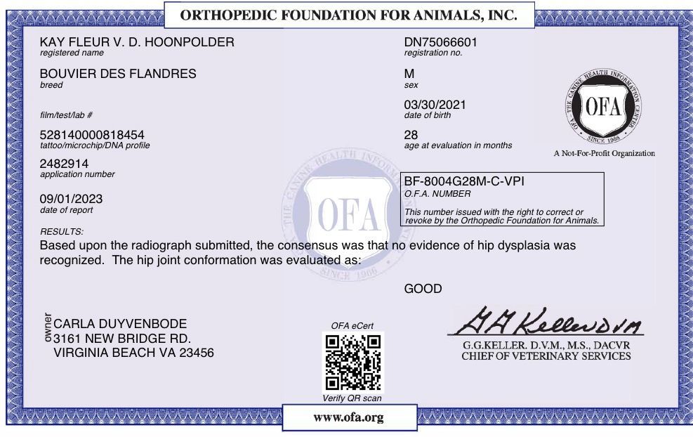 A certificate from the orthopedic foundation for animals inc.