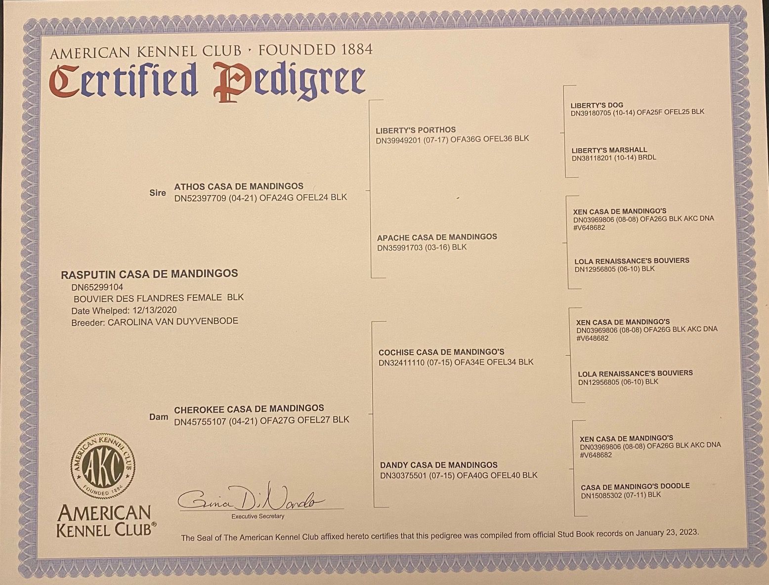 A certified pedigree from the american kennel club