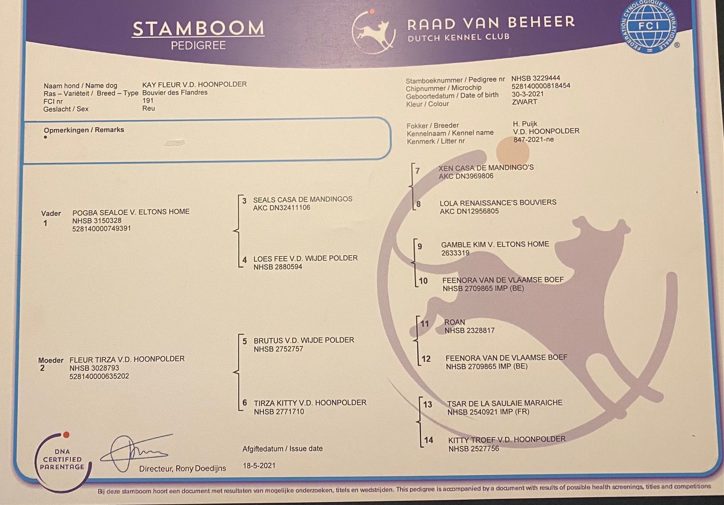 A purple and white paper that says stamboom on it