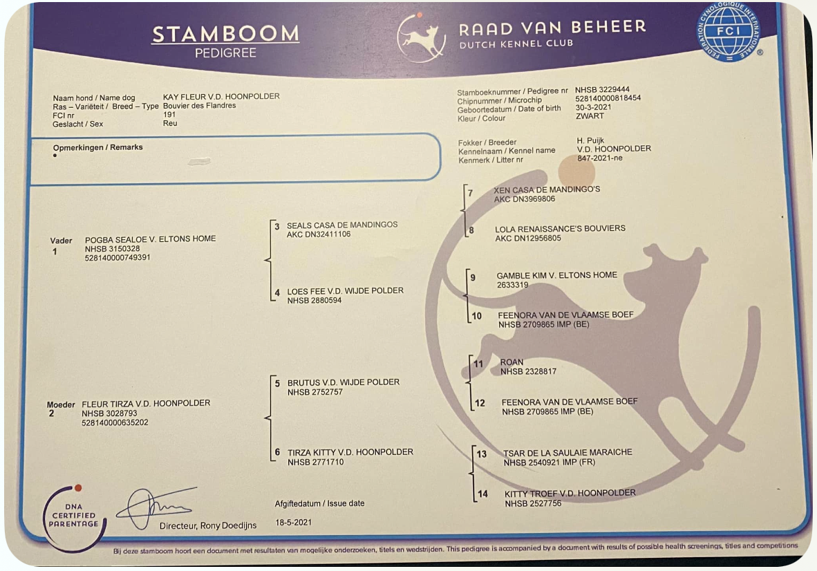 A white paper with the word stamboom on it