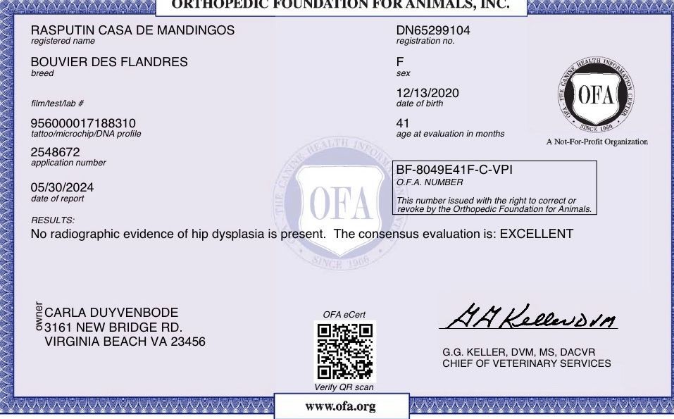 A certificate from the opa foundation for animals