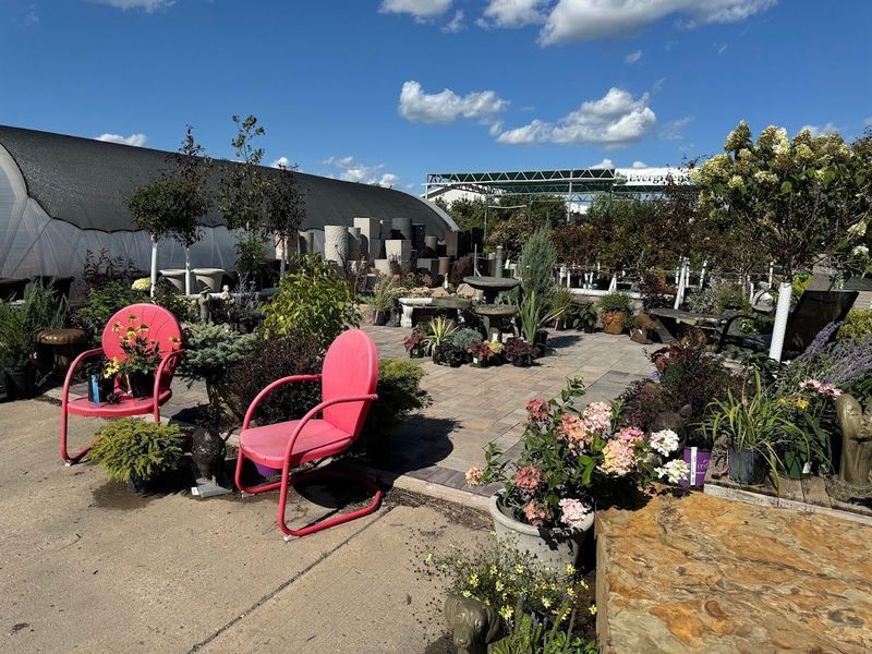 Garden center with pink chairs, plants in pots, under blue sky.