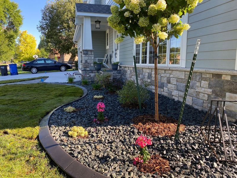 Front yard landscaping with curb edging, rock bed, flowering plants, and tree.