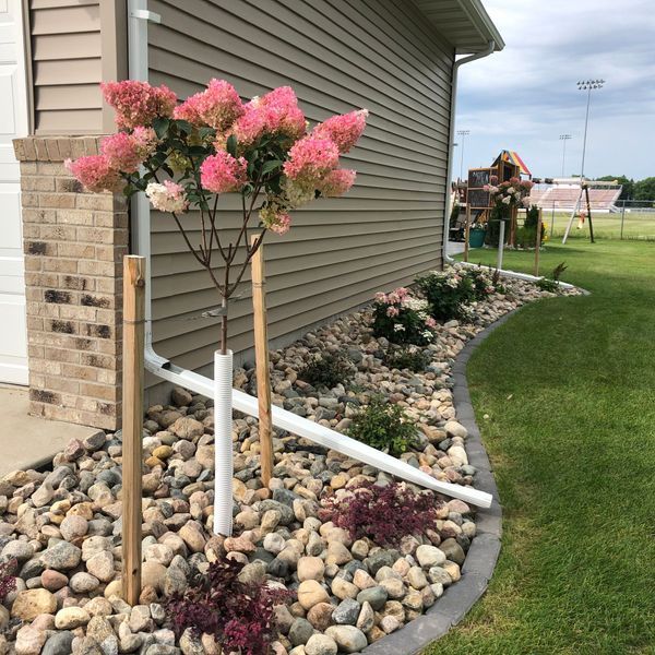 Pink flowering tree in a rock garden next to a house, with a grassy lawn, and a sports field in the background.