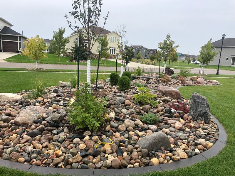 Rock garden with various plants and small trees, bordered by a dark concrete edge.