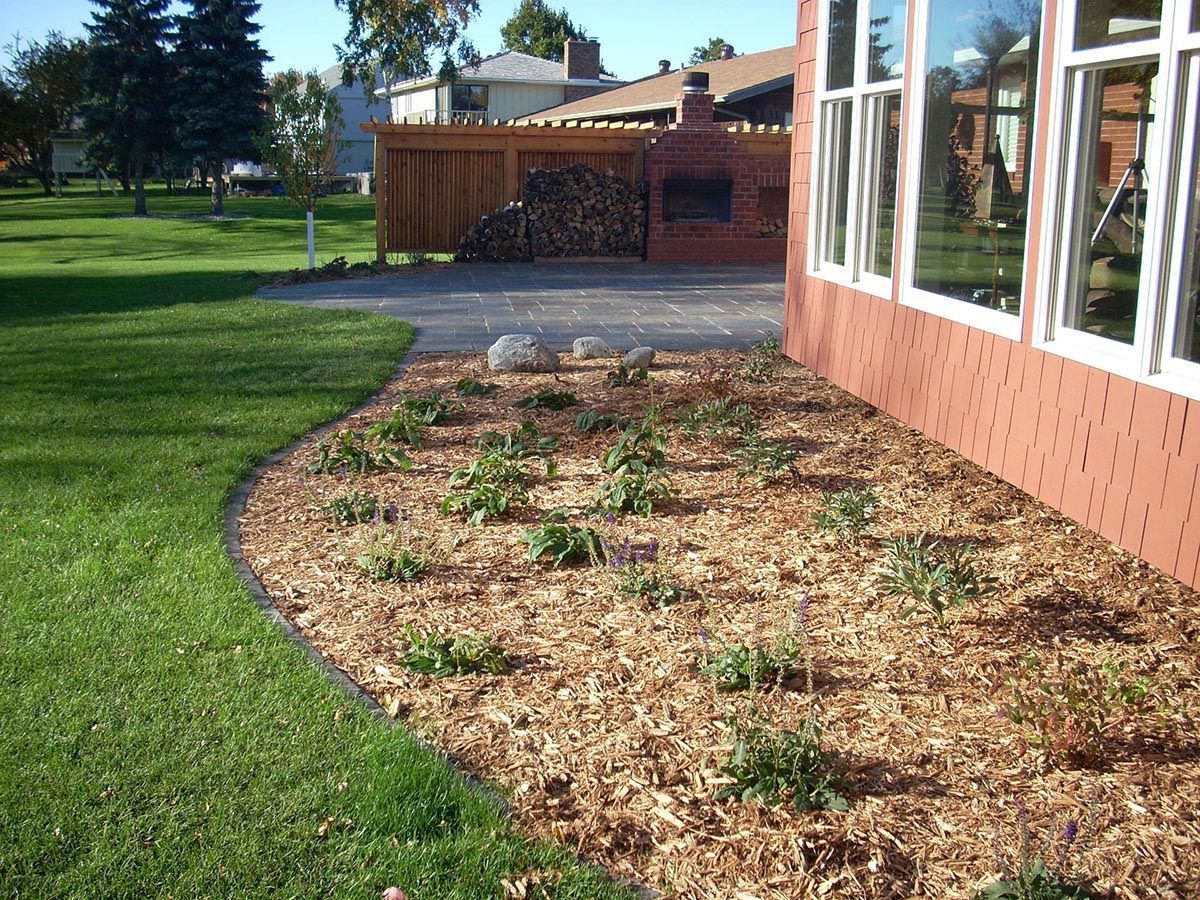 A garden bed with hardwood mulch and young plants