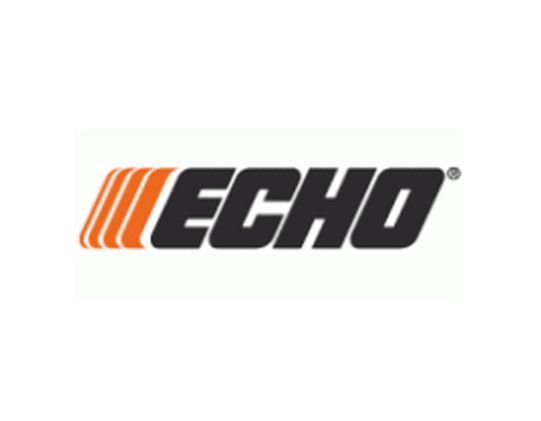 Echo Logo
