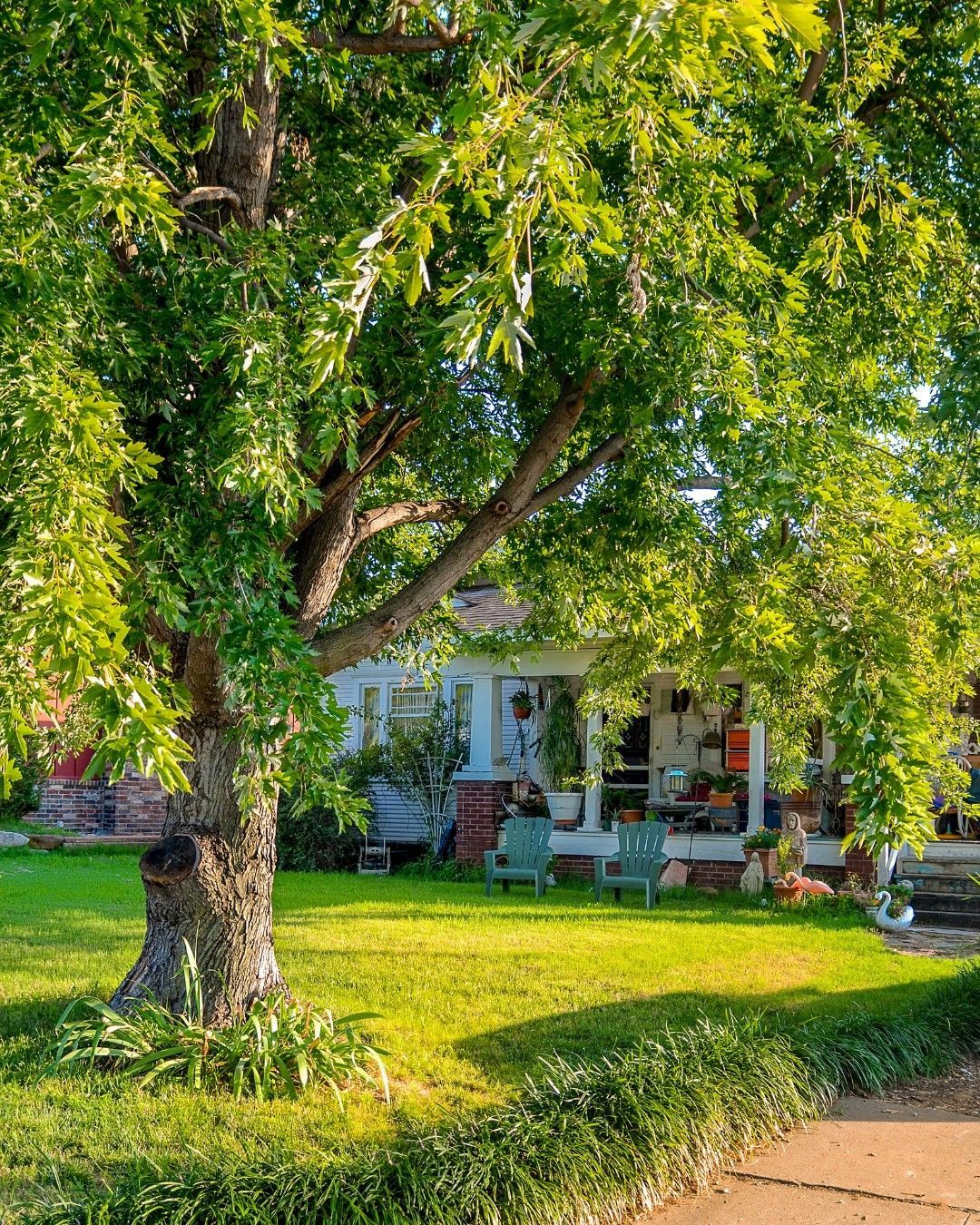 A small white house with a porch and green chairs, shaded by a large tree in a sunny yard.