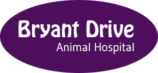 Bryant Drive Animal Hospital - Veterinary | Tuscaloosa