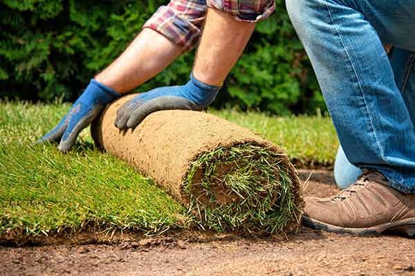 How Landscapers Can Benefit From Sod Delivery