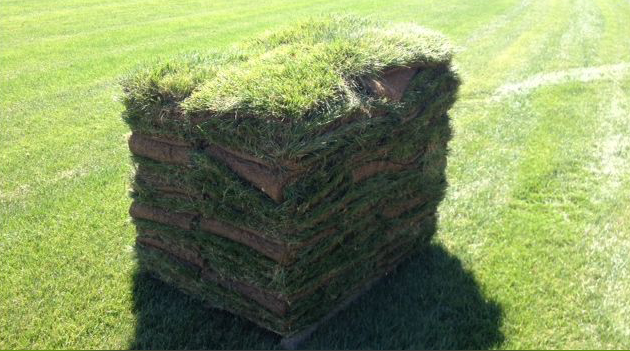 turf | Xenia, OH | Gerdes Turf Farm Inc | 937-426-4489
