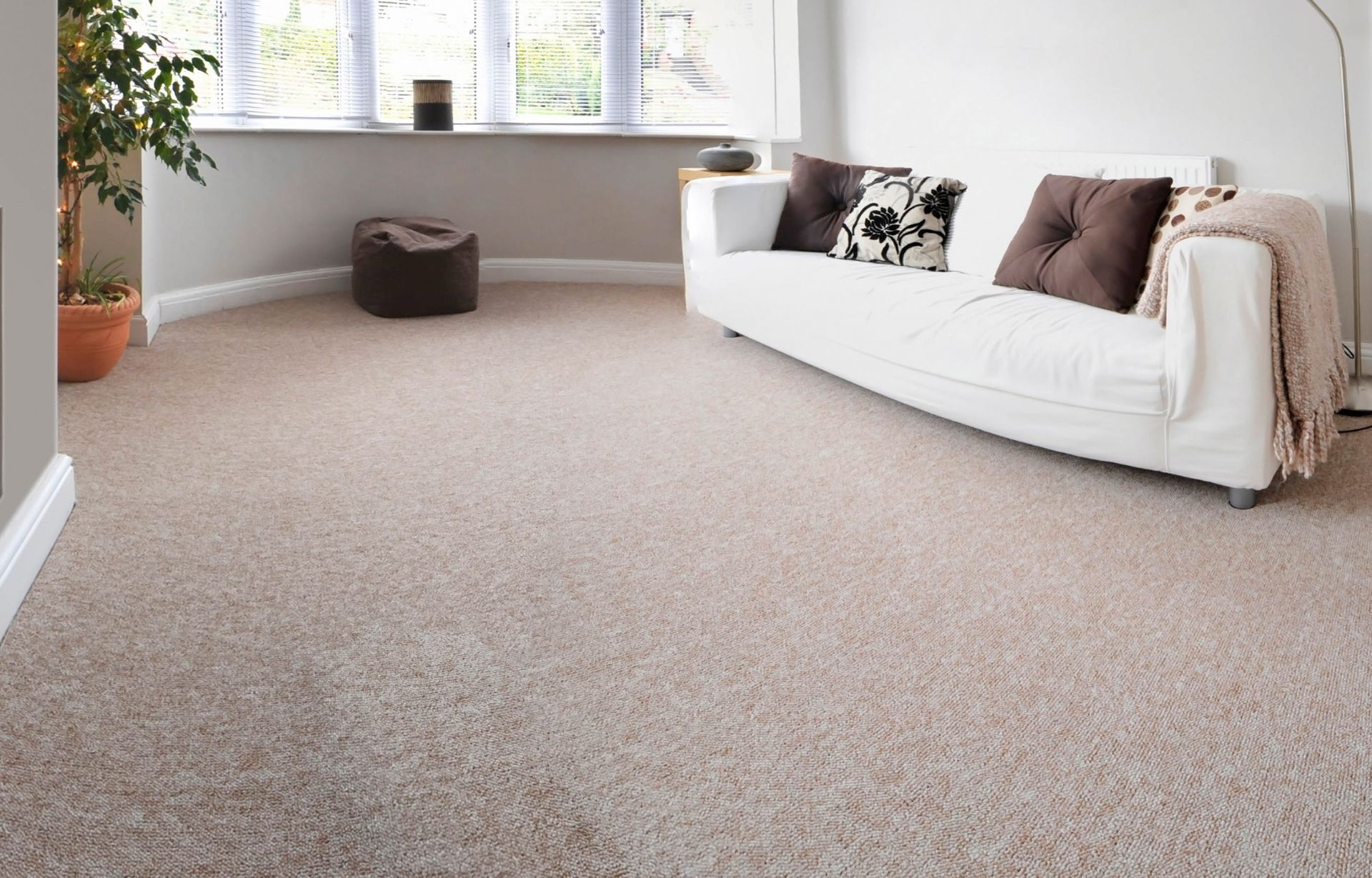 A bright living room features a beige carpet, a white sofa with dark pillows, a potted plant, and a window with blinds.