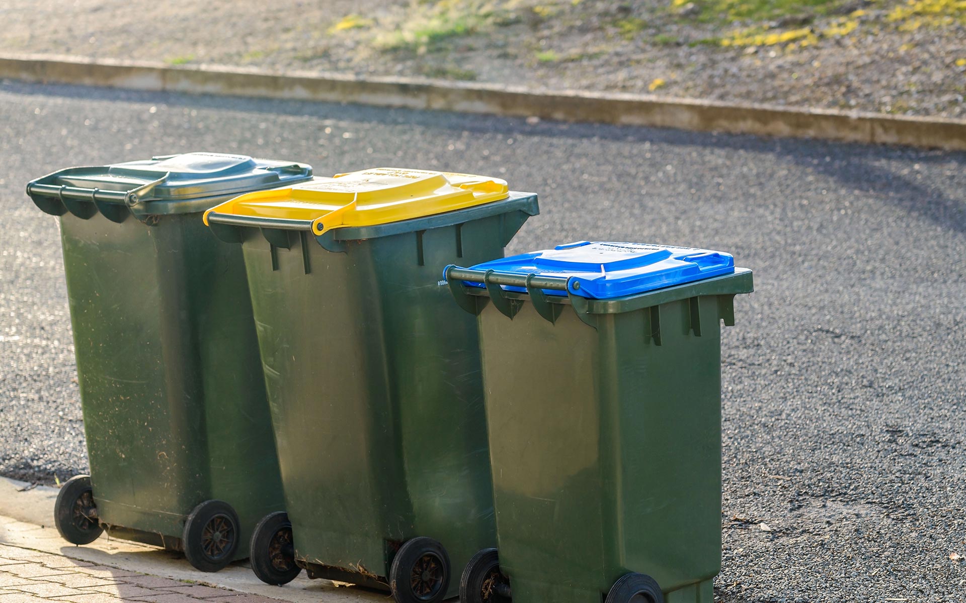Residential trash bins