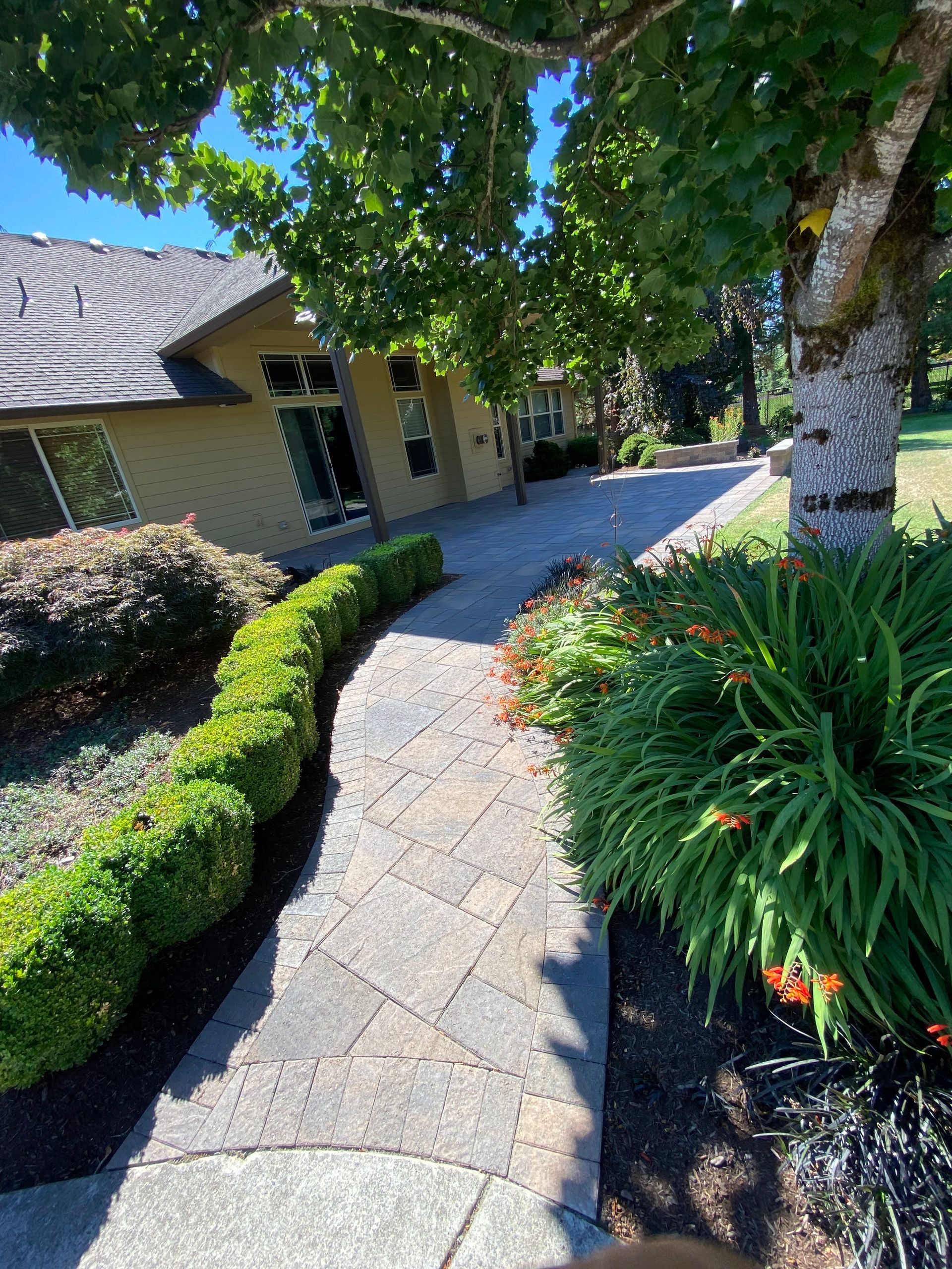 Stone walkway curves towards a tan house with windows, lined by green hedges and flowerbeds, under a tree.