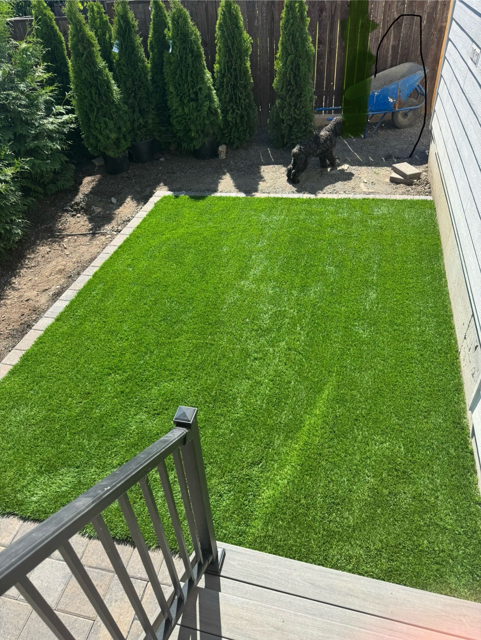 Green lawn in a backyard, bordered by stone. Black railing on stairs in foreground. Tall green trees in background.