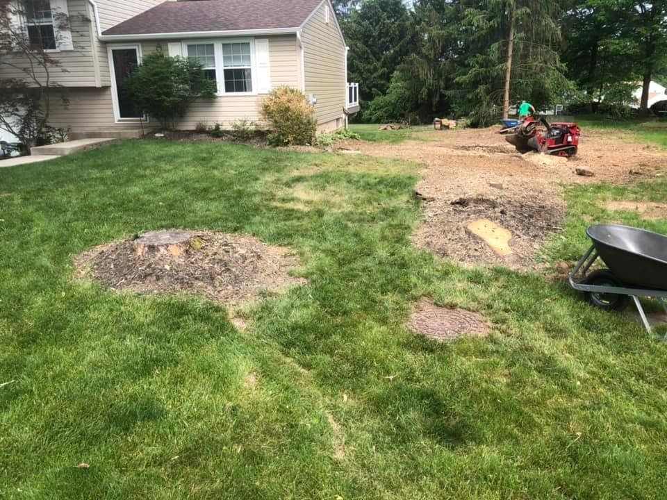 Lawn with tree stumps and freshly dug soil. A small tractor works in the distance near trees.
