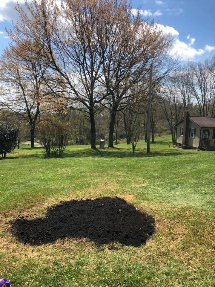 Lush green yard with dark soil patch; large trees with budding leaves, small house, blue sky.