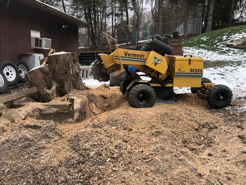Yellow Vermeer stump grinder grinding wood chips next to a brown shed and tree stumps, in a snowy yard.