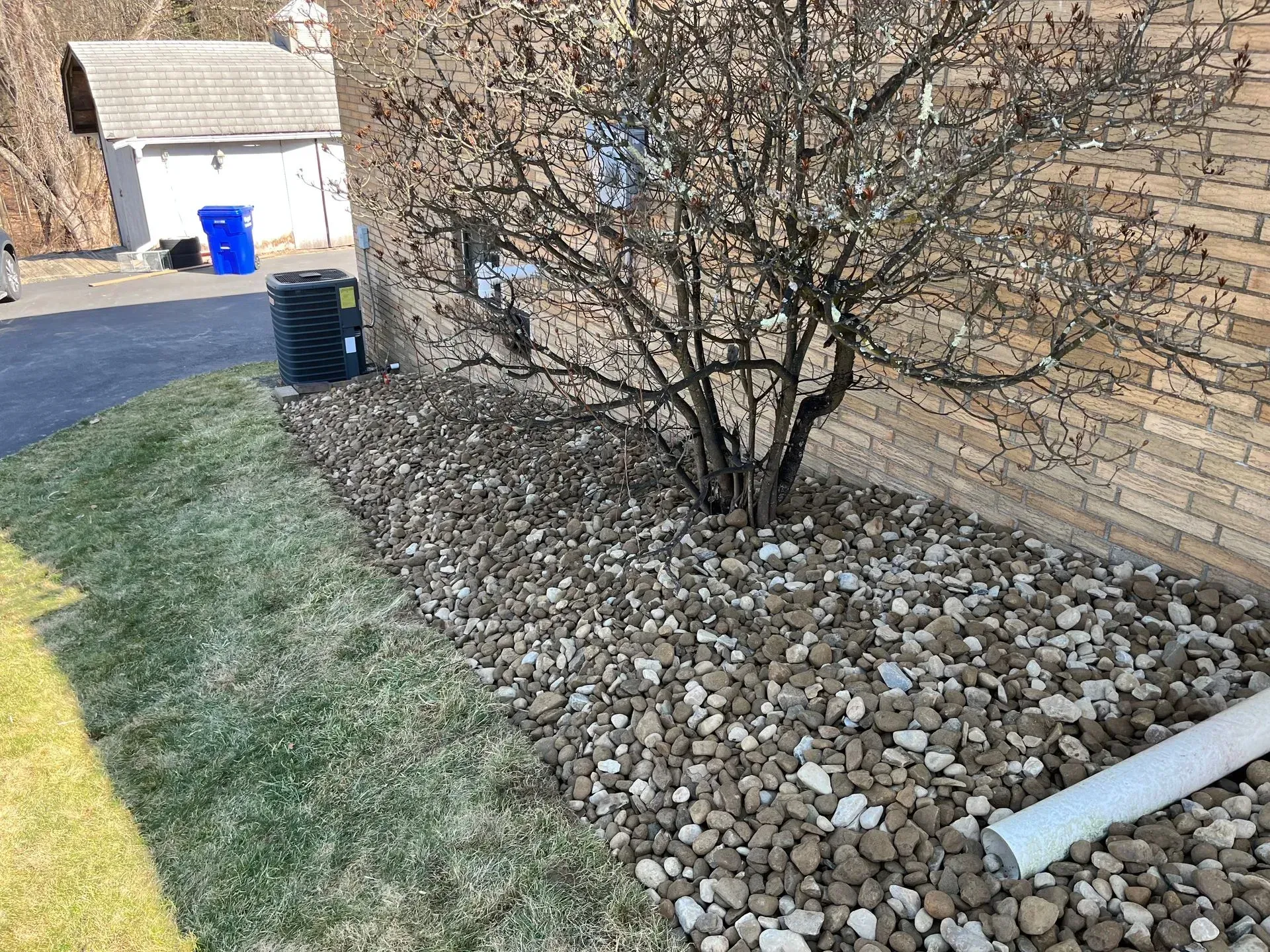 A bush with bare branches next to a brick building. River rock covers the bed.