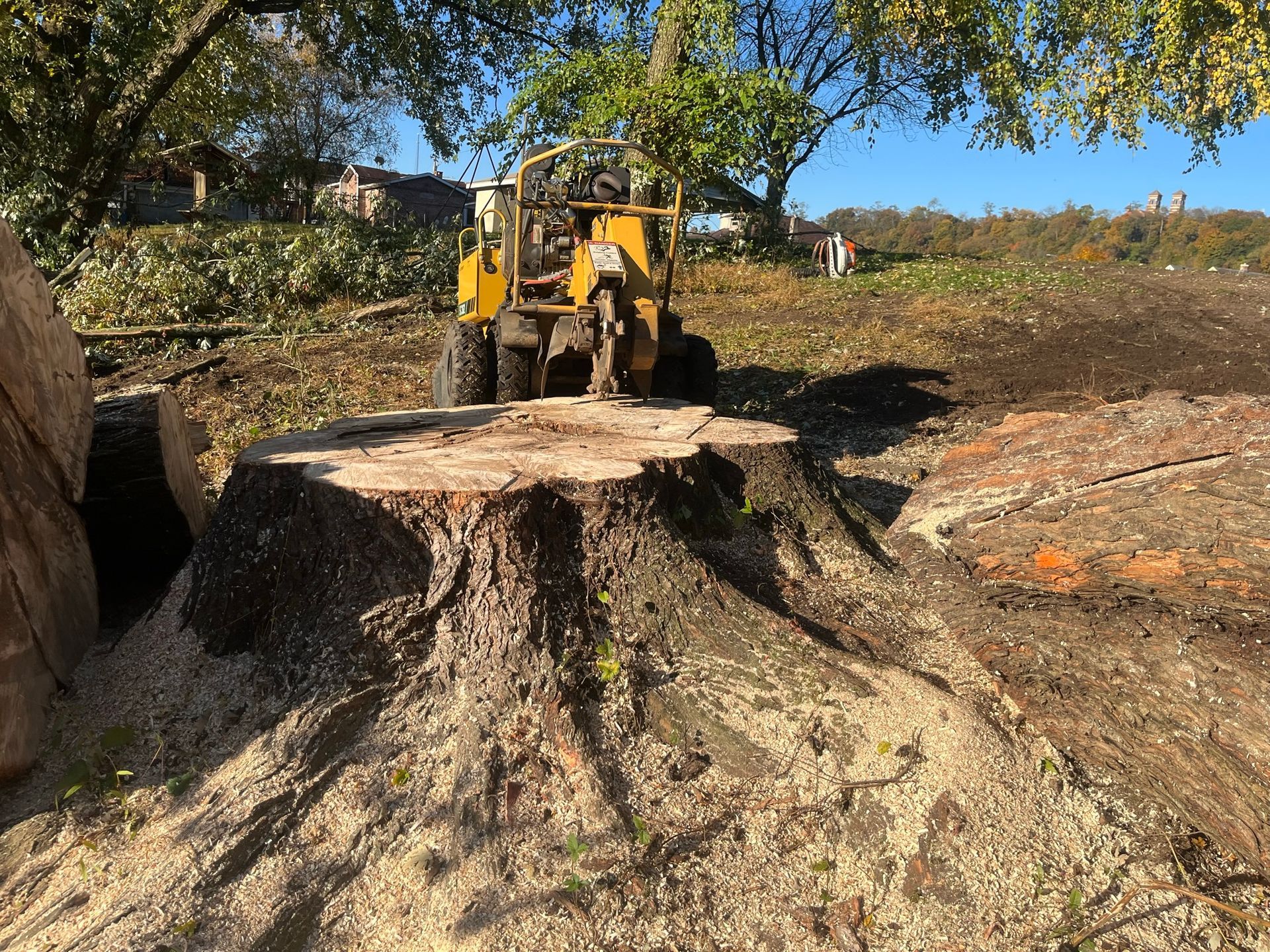 Yellow tractor near tree stump on a sunny day.