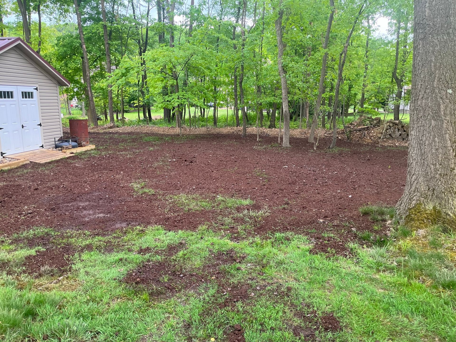 Yard with dark soil, shed, trees, and patches of grass.
