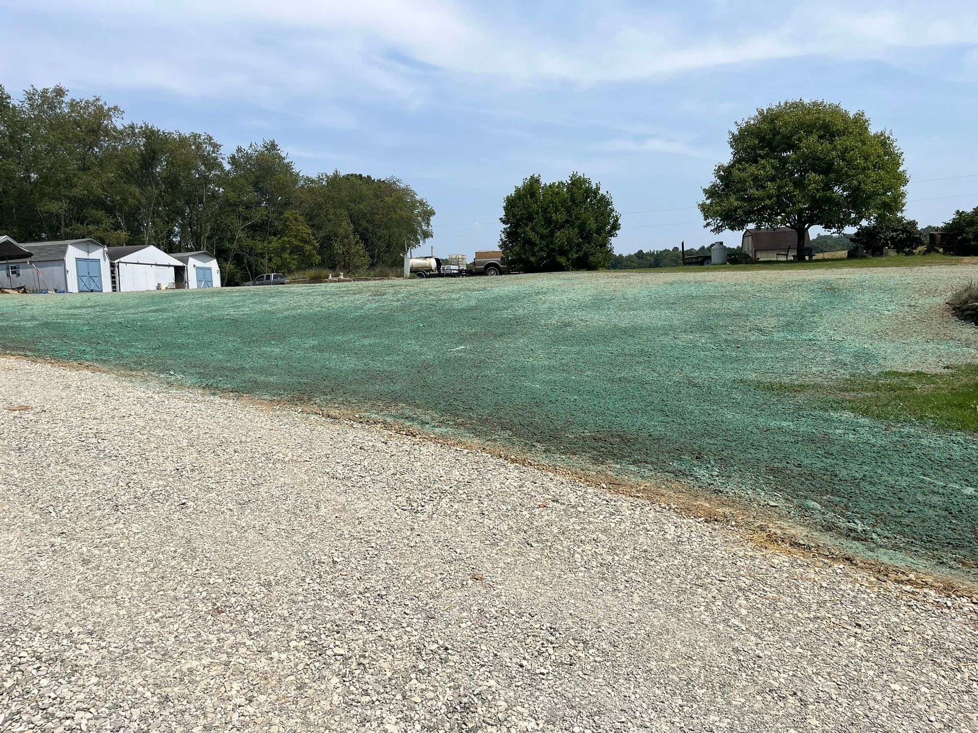 Gravel driveway leads to a field covered with green seed and a few trees under a cloudy sky.