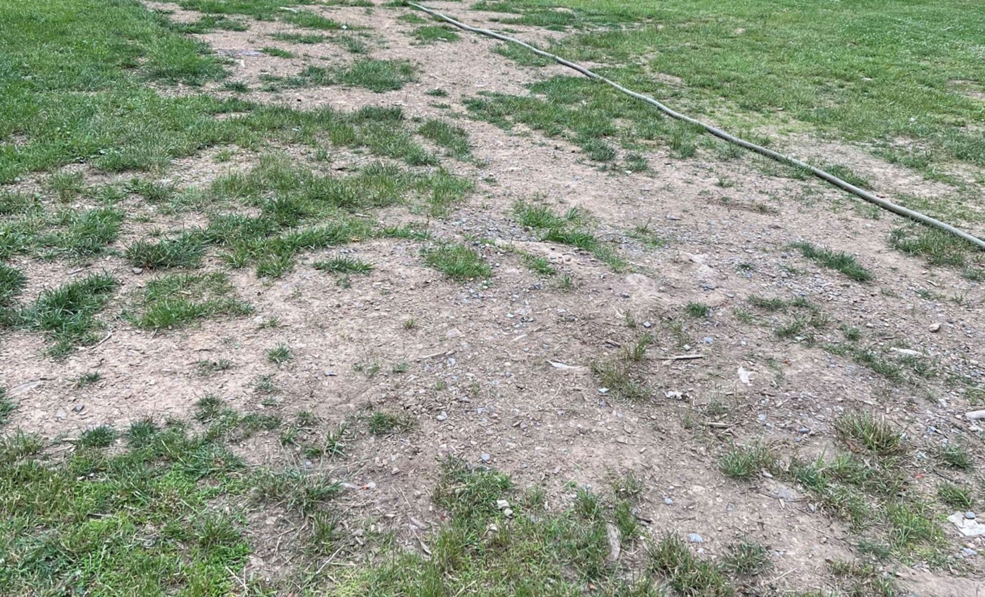 Grassy area with patches of bare dirt and a hose.