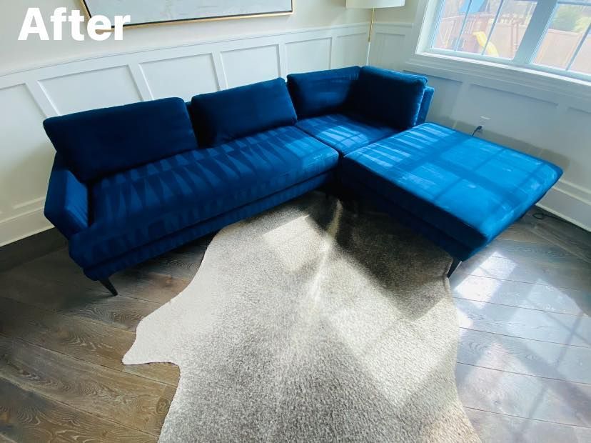 Blue sectional sofa on gray cowhide rug, hardwood floor. Sunlight on velvet.