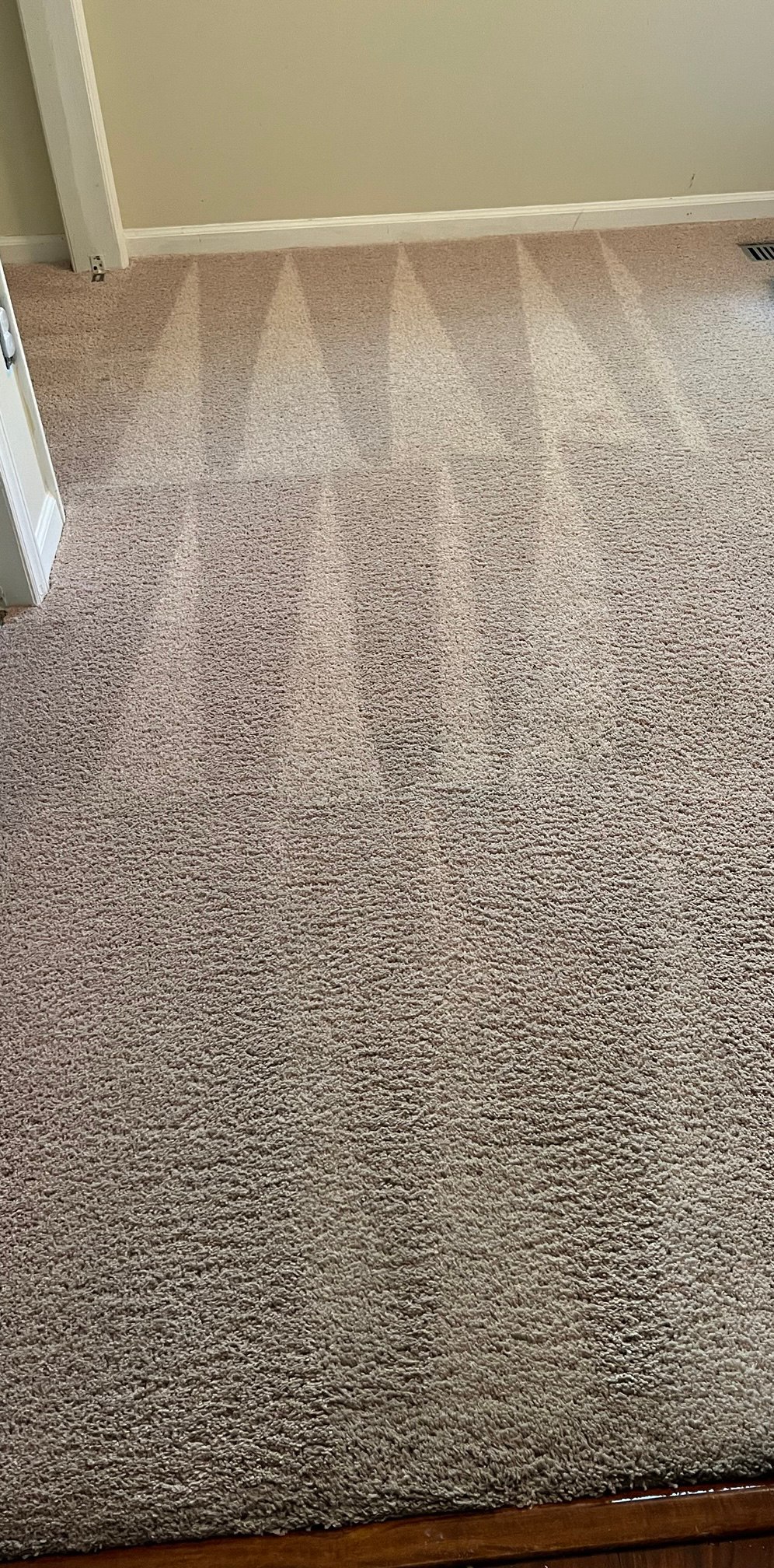 Carpet After