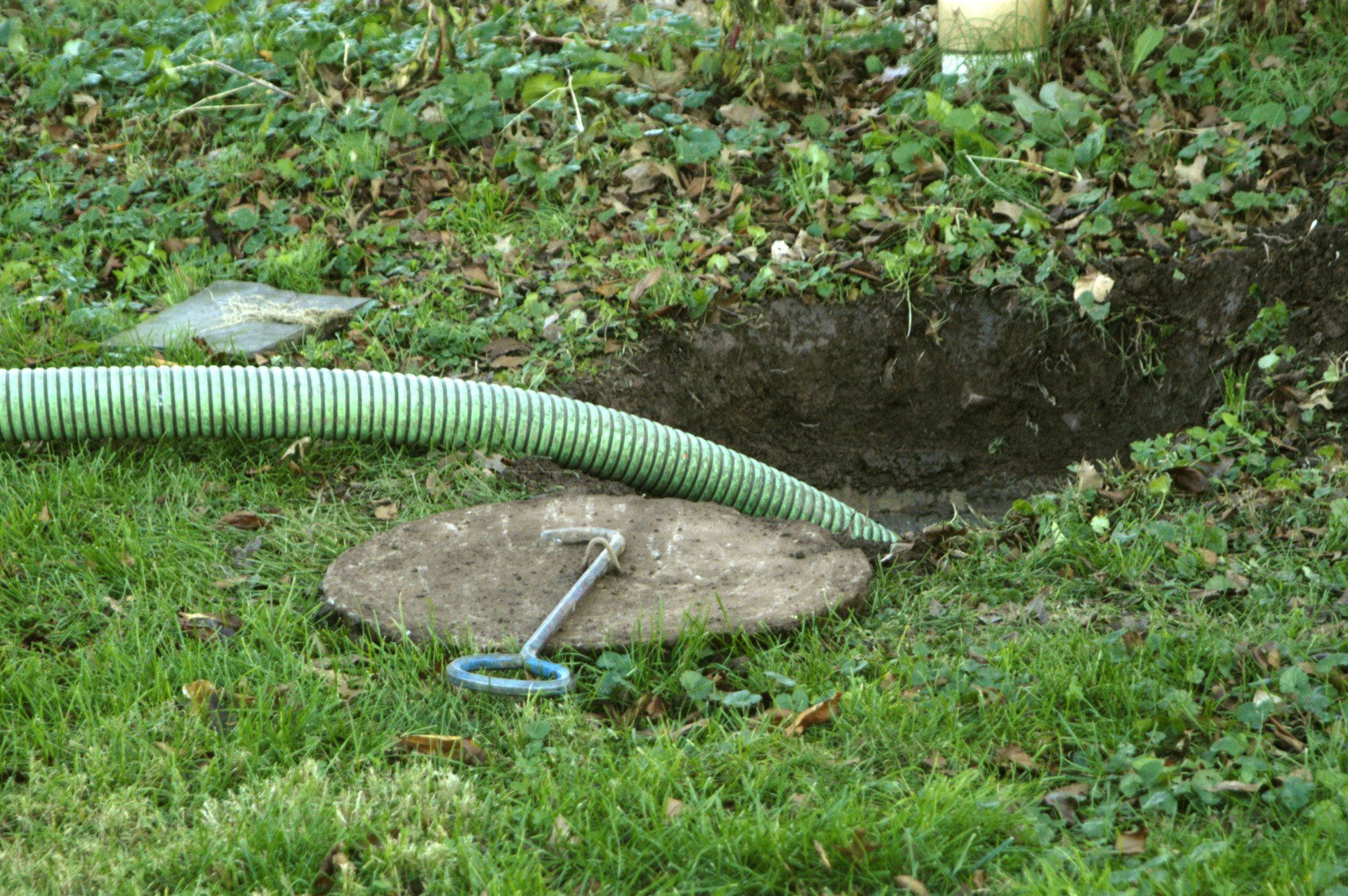 septic cleanings