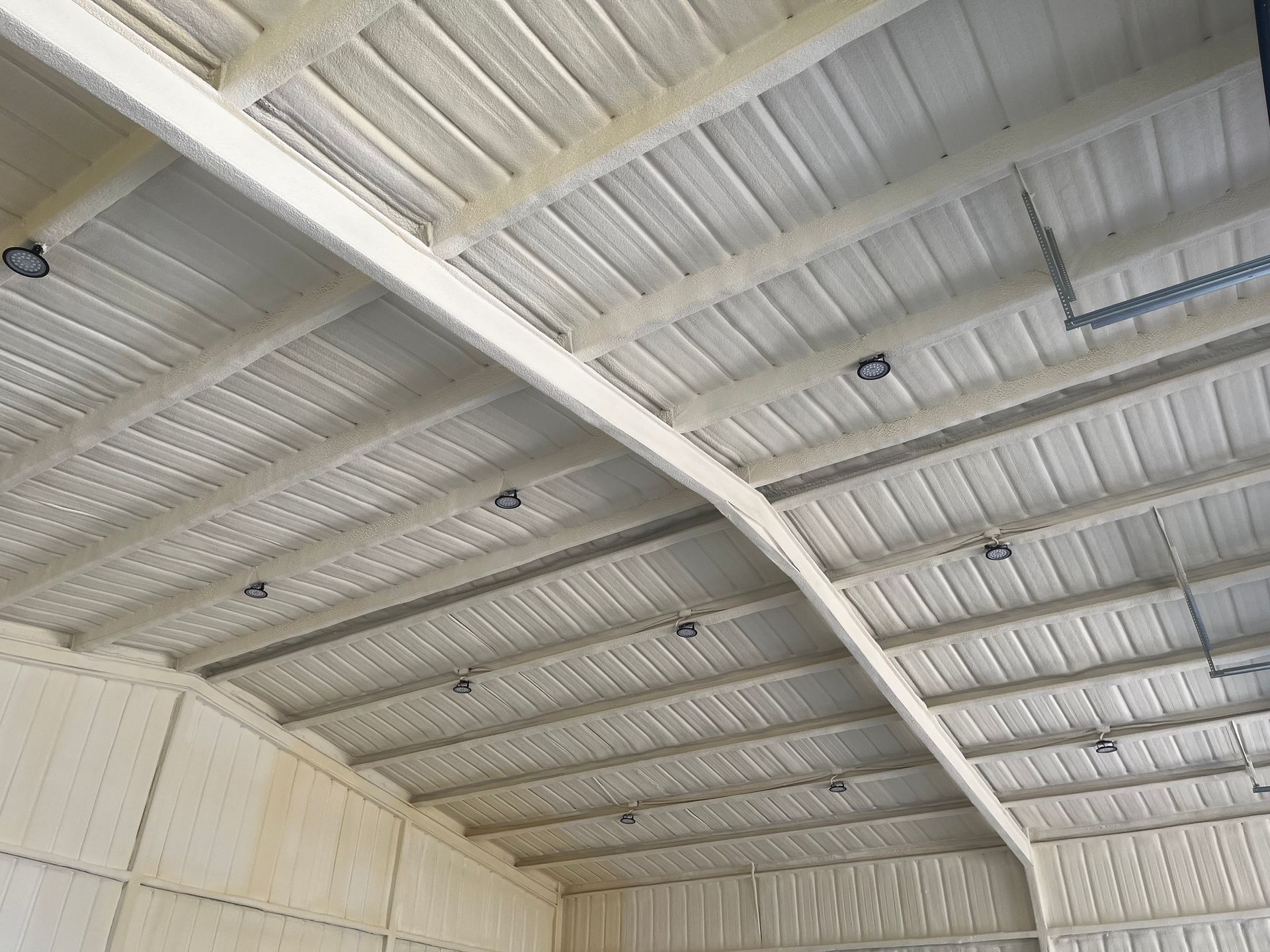 The ceiling of a building with a lot of lights on it.