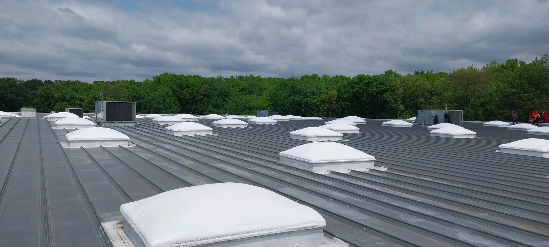 A roof with a lot of skylights on it and trees in the background.