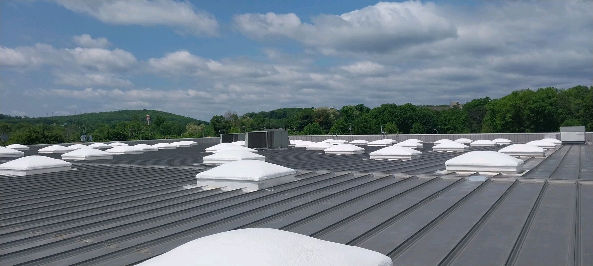The roof of a building with a lot of skylights on it.