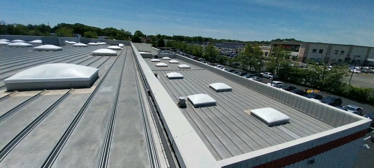 The roof of a building with a lot of skylights on it