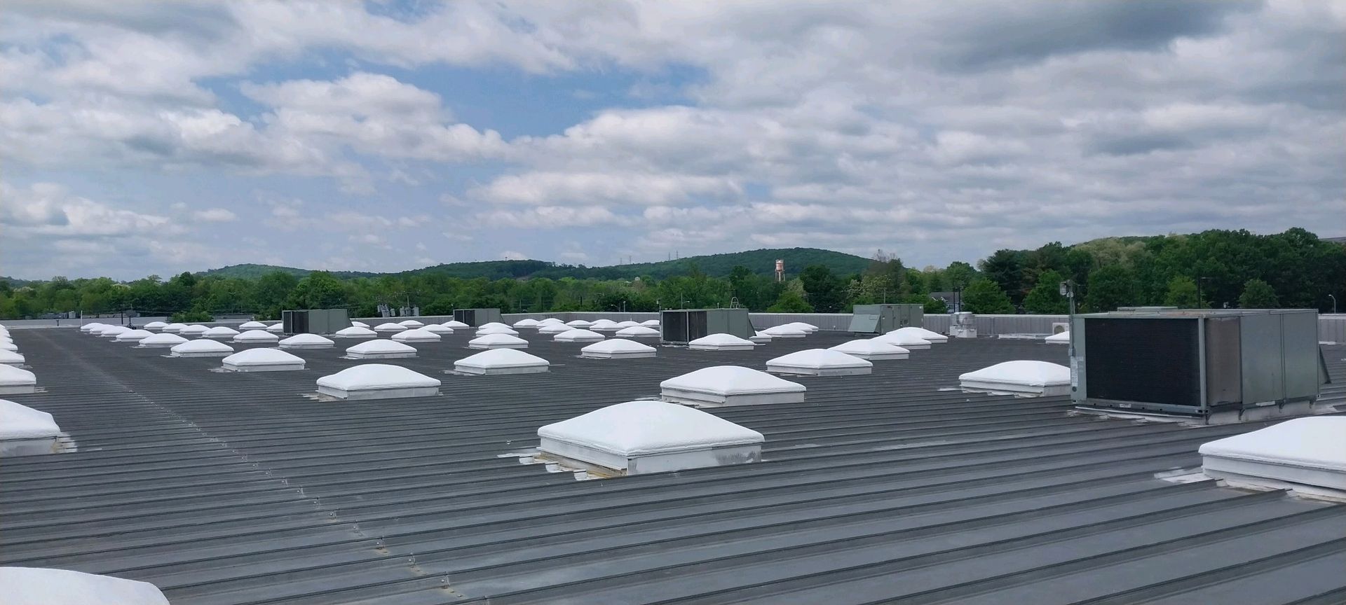 The roof of a building with a lot of skylights on it.