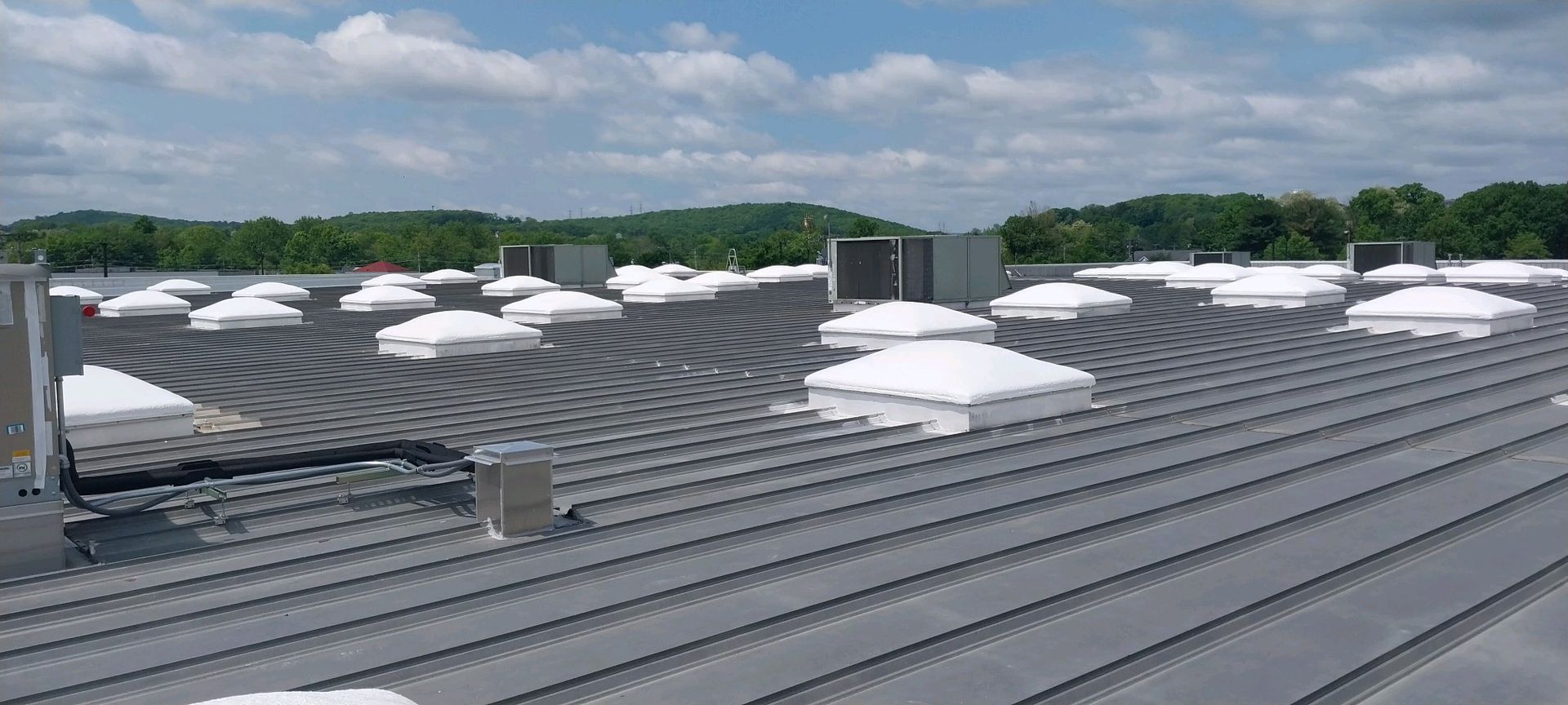 A roof with a lot of skylights on it