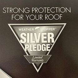 Silver pledge