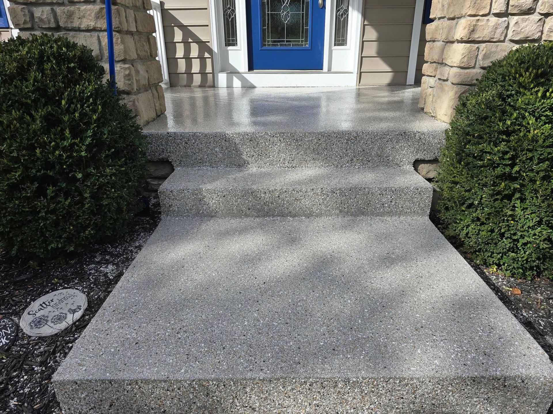 Concrete steps leading up to a blue front door, flanked by green bushes.