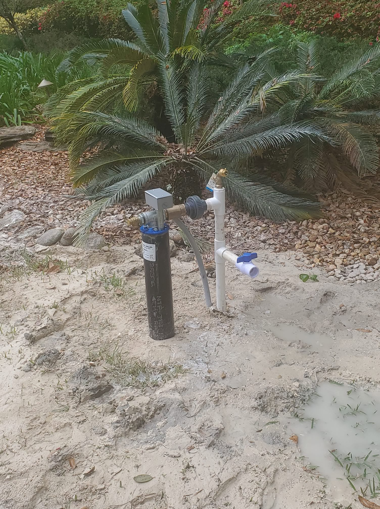Two utility pipes and a small white box beside a palm shrub in a sandy yard