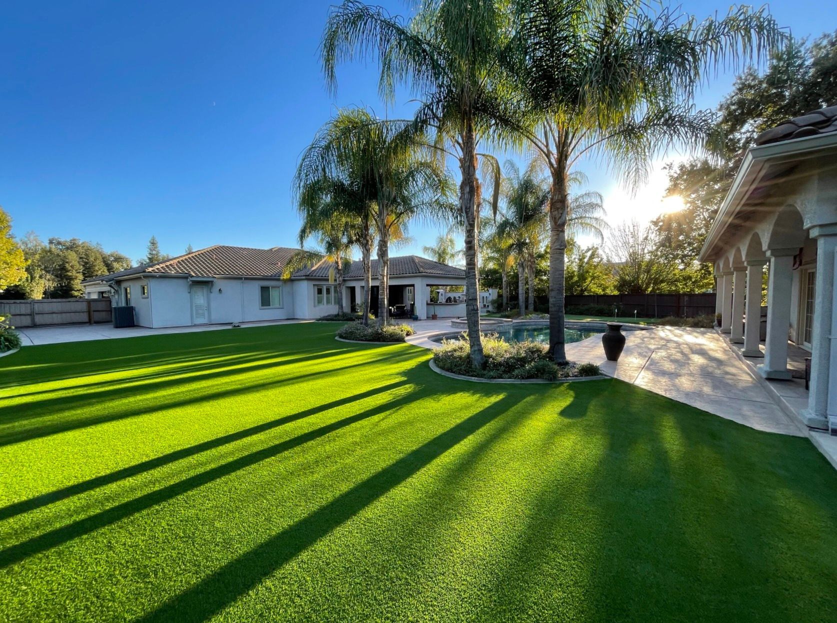 Lush green lawn with palm trees, a large house, and sunshine.