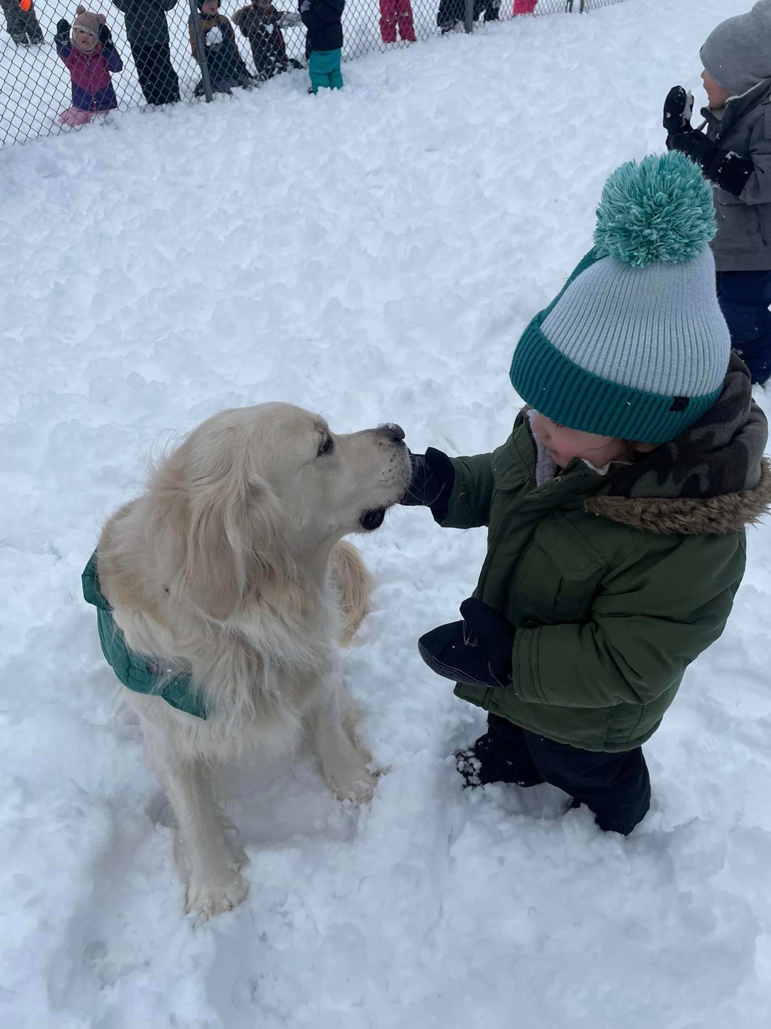Kids playing with the dog