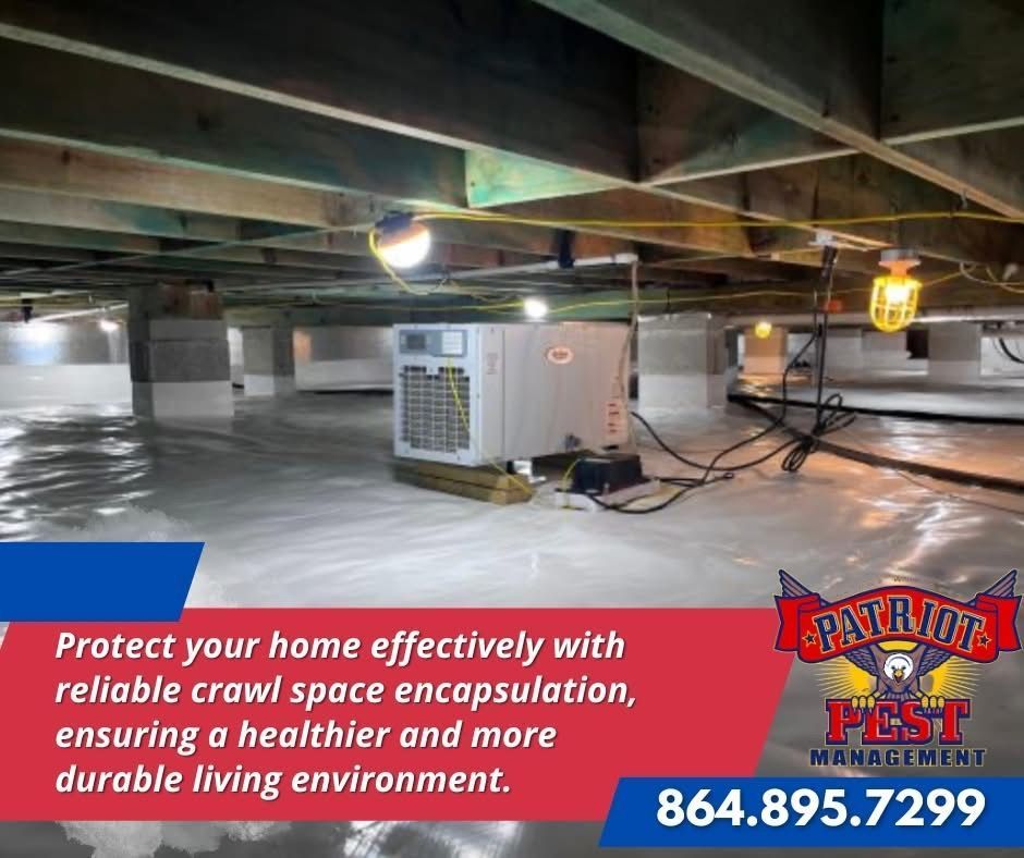 A crawl space with white encapsulation, a dehumidifier, and hanging lights. Logo and contact info for Patriot Pest Management.