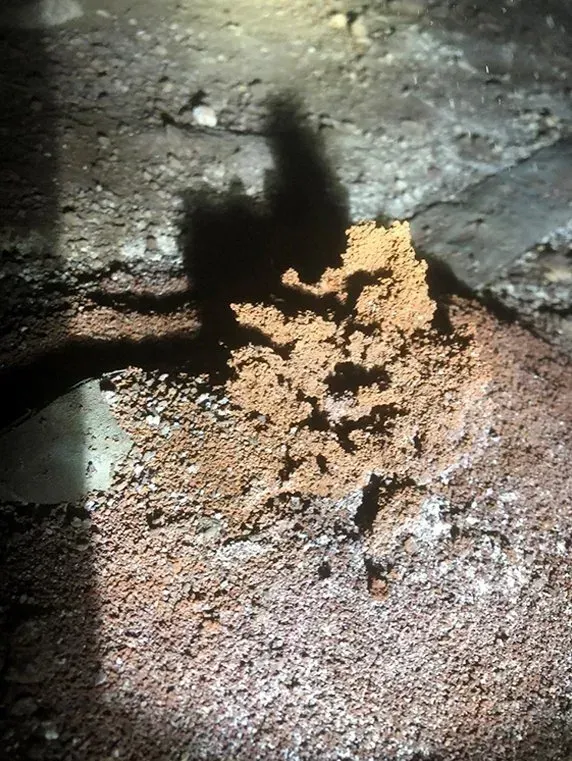 Brown, cone-shaped termite nest against a dark, textured wall; a shadow is cast behind it.