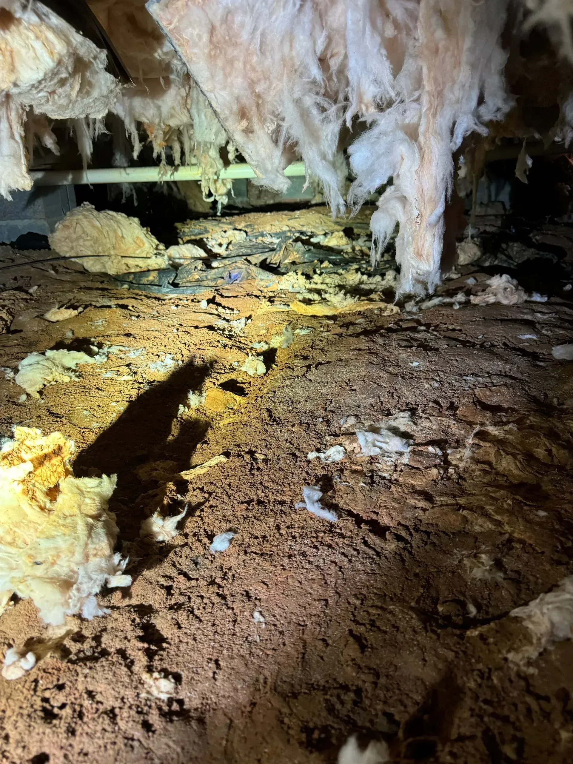 Brown dirt floor with insulation, wood beams, and a dark shadow.