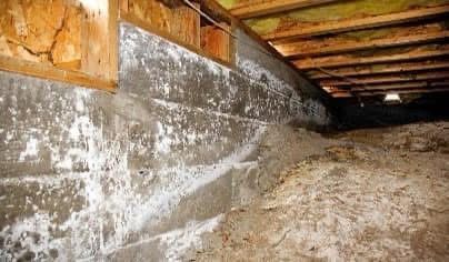 Mold and efflorescence on concrete foundation wall of a crawl space.
