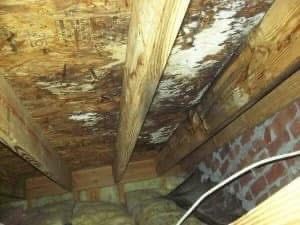 Moldy wooden ceiling with beams and brick support.