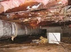 Rotting wood in a crawl space, with insulation, ductwork, and a white electrical box.