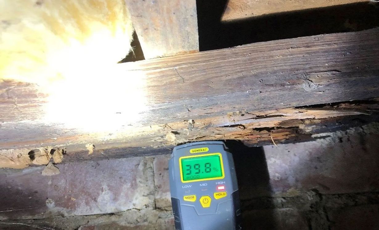 A moisture meter shows a reading of 39.8% against a piece of damp, decaying wooden joist in a dark, unfinished space.
