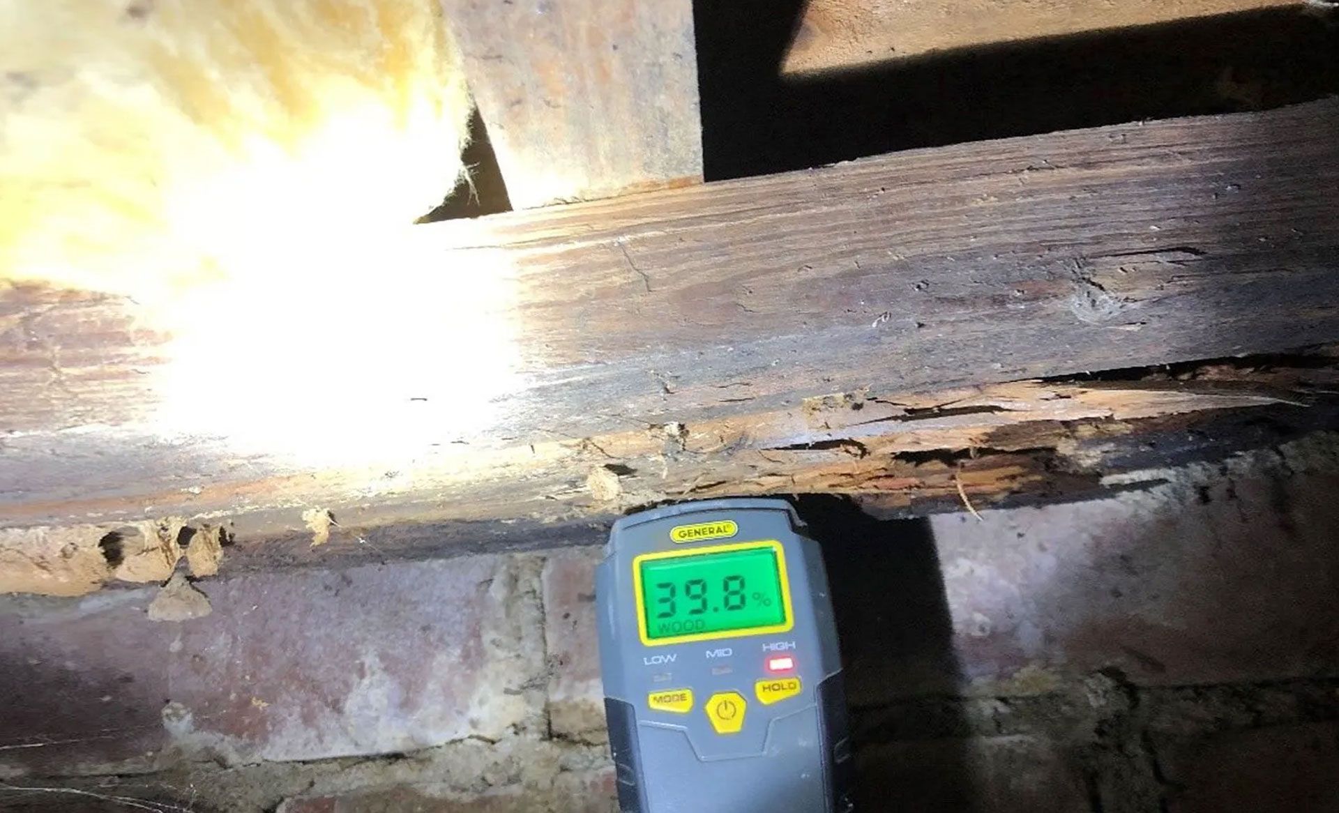 A moisture meter shows a reading of 39.8% against a piece of damp, decaying wooden joist in a dark, unfinished space.